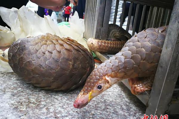 拜仁创纪录夺冠