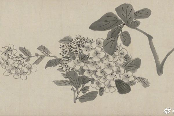 邵克难-乐鱼app(leyu)官方网站-乐鱼官网