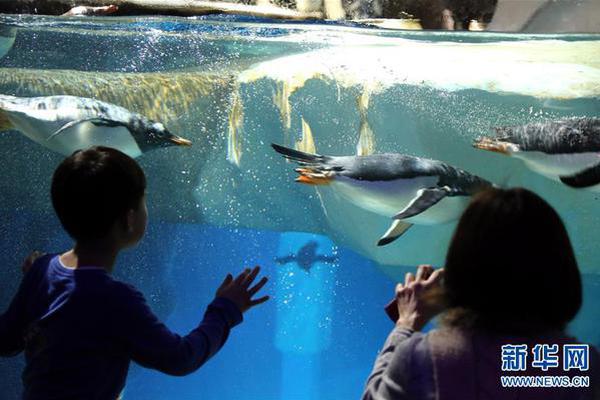 火箭vs太阳直播-乐鱼app(leyu)官方网站-乐鱼官网