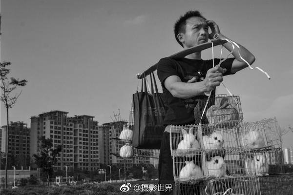 西甲直播pptv-乐鱼app(leyu)官方网站-乐鱼官网