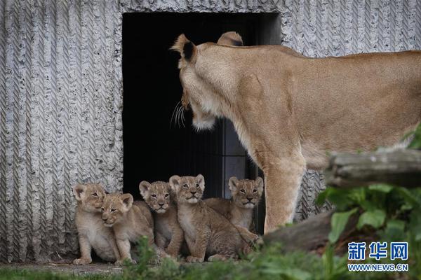 德比杯-乐鱼app(leyu)官方网站-乐鱼官网