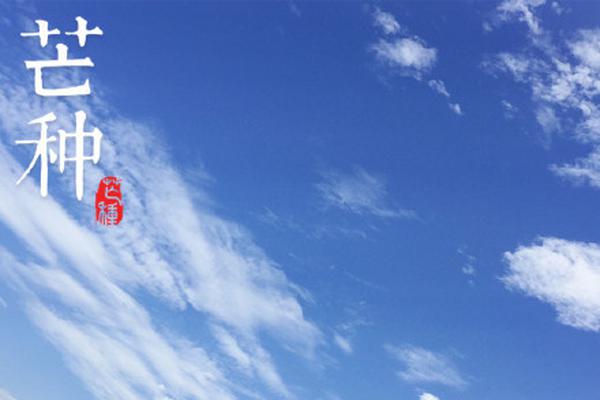 阿斯顿维拉vs曼联