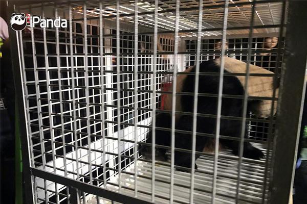 纽约尼克斯vs热火