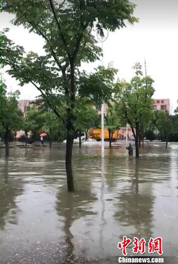 一场大雨，南京部分城区又见“碧波荡漾”　城管供图