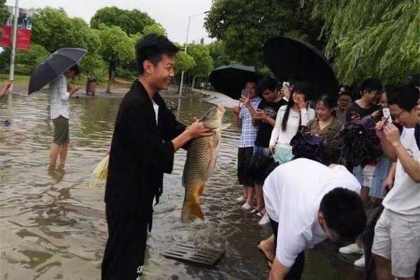 中央一台在线观看-乐鱼app(leyu)官方网站-乐鱼官网