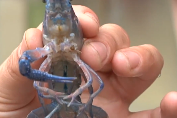 热火vs雷霆录像-乐鱼app(leyu)官方网站-乐鱼官网