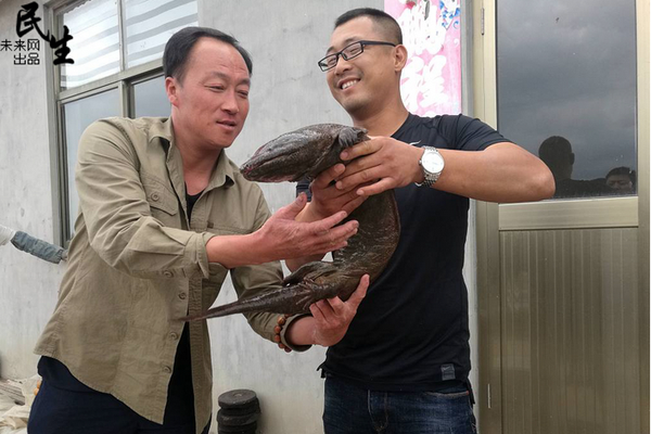 广州恒大vs墨尔本