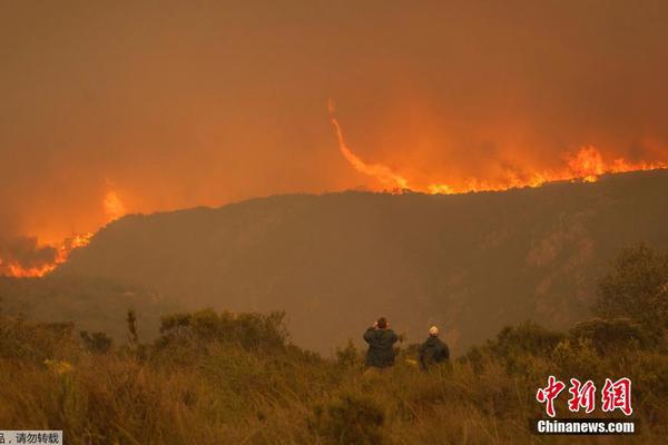 男篮世界杯直播-乐鱼app(leyu)官方网站-乐鱼官网