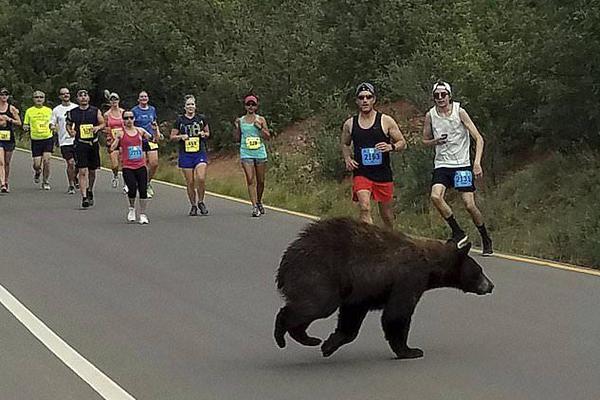 巴萨vs马德里竞技