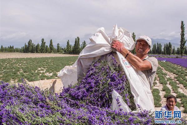 国足视频-乐鱼app(leyu)官方网站-乐鱼官网