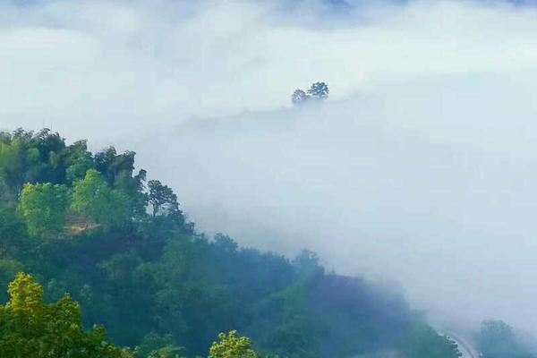 00吧-乐鱼app(leyu)官方网站-乐鱼官网