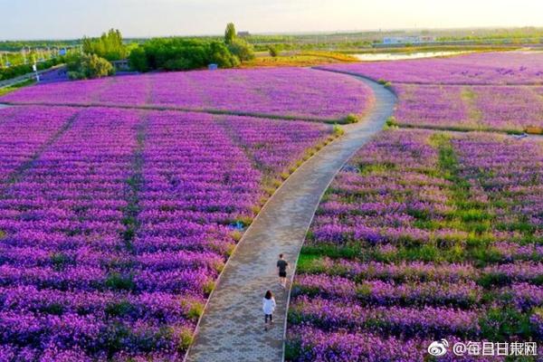 俄罗斯世界杯名单