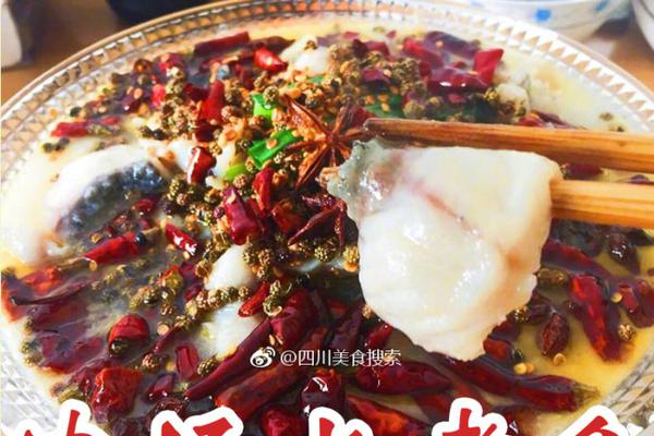 闫相闯-乐鱼app(leyu)官方网站-乐鱼官网