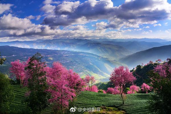 2000扣篮大赛-乐鱼app(leyu)官方网站-乐鱼官网