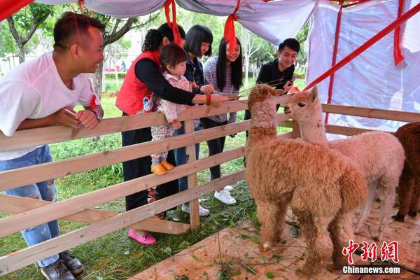 nba湖人vs快船-乐鱼app(leyu)官方网站-乐鱼官网