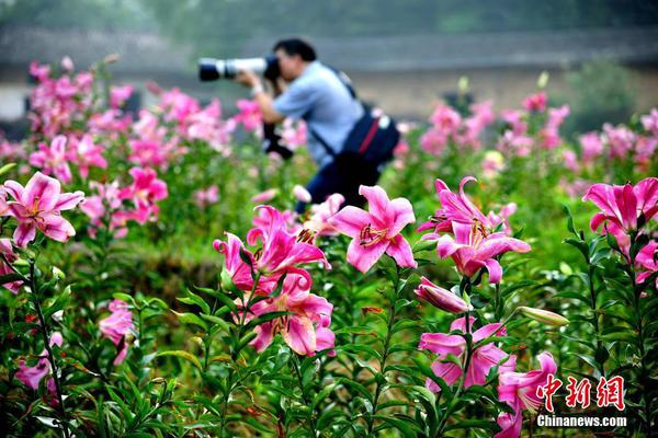 纽约尼克斯vs热火-乐鱼APP下载-乐鱼体育app-乐鱼体育官网网站|乐鱼体育