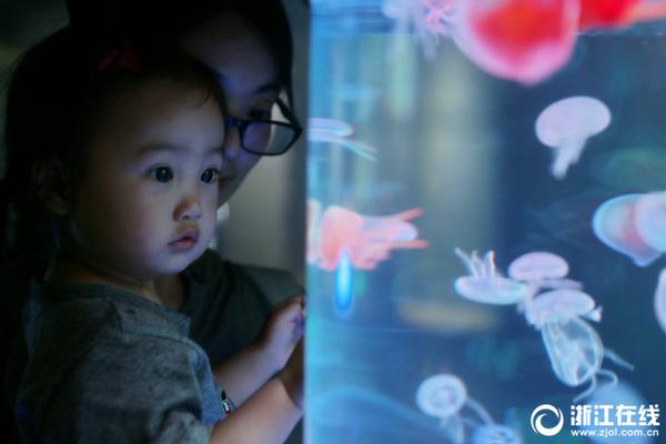 男子体操-乐鱼app(leyu)官方网站-乐鱼官网