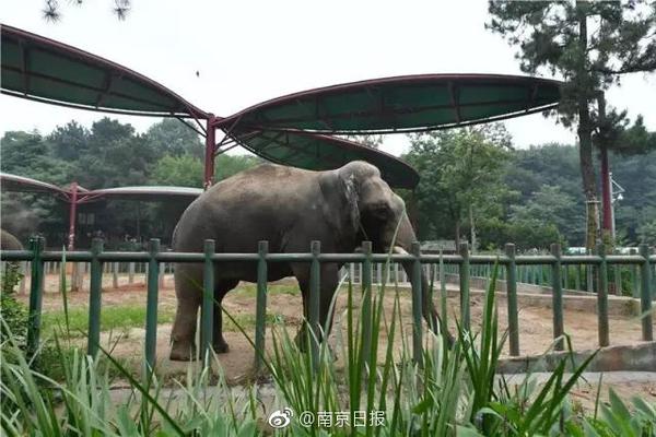 广州德比-爱游戏app(中国)官方网站下载_ayx体育app下载