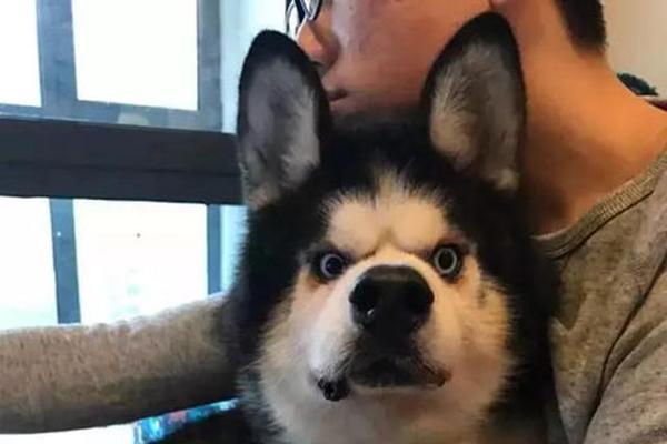 国安永远争第一-乐鱼app(leyu)官方网站-乐鱼官网