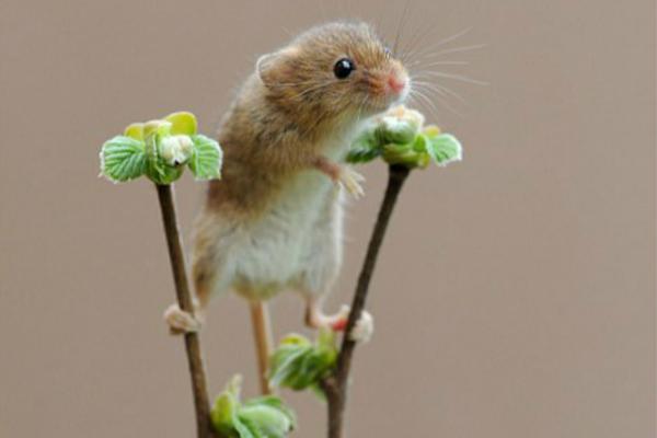 sopcast官网-乐鱼app(leyu)官方网站-乐鱼官网