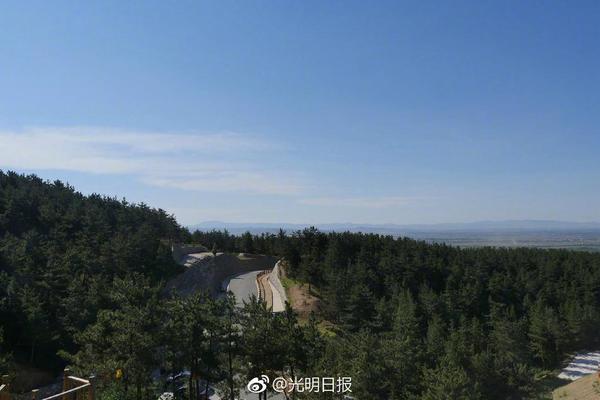 刘洋微博-乐鱼app(leyu)官方网站-乐鱼官网