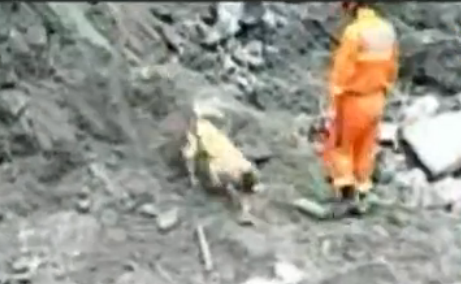 搜救犬滑坡现场搜寻被埋者 失踪者手机无人接听