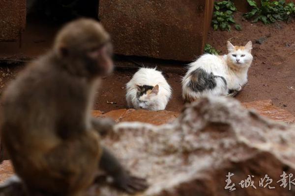 格纳布里-乐鱼app(leyu)官方网站-乐鱼官网