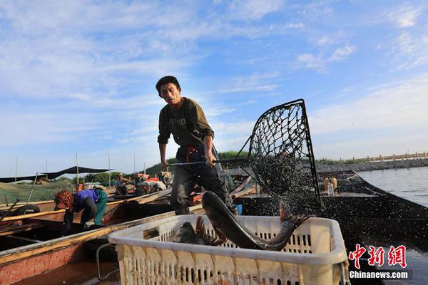 弗格森宣布退休