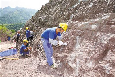 重庆现世界级恐龙化石墙“群龙”因何沉睡于此