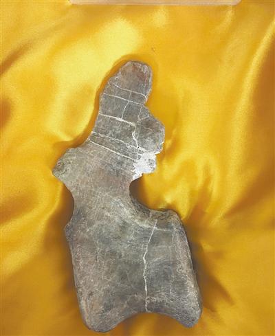 重庆现世界级恐龙化石墙“群龙”因何沉睡于此