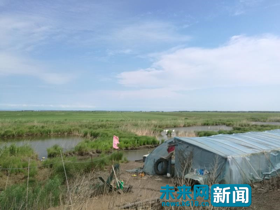 黑龙江湿地保护区现大量废弃农药瓶2年前曝光