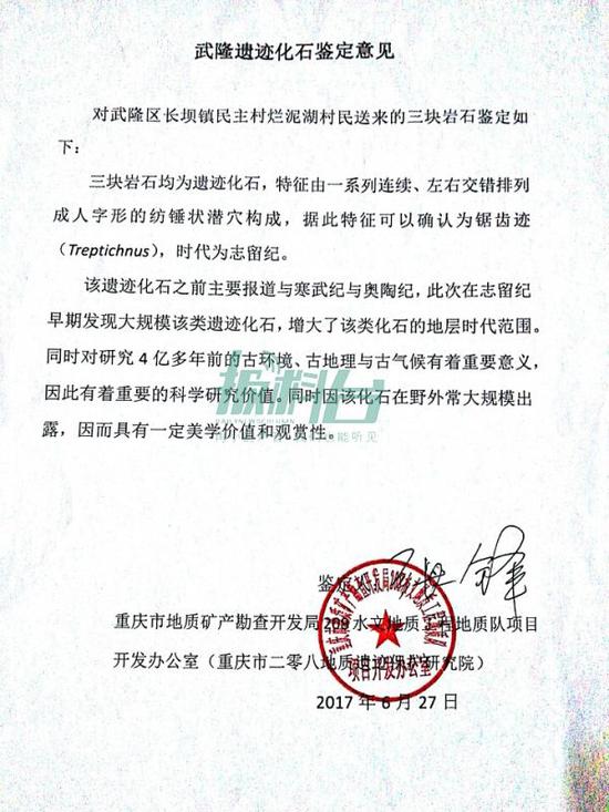 鉴定意见。
