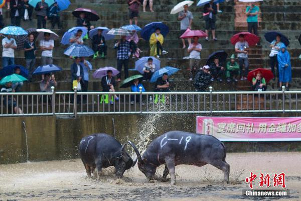 阿迪达斯清风系列