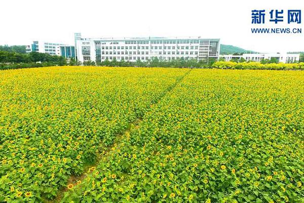 曼城阵容-乐鱼app(leyu)官方网站-乐鱼官网