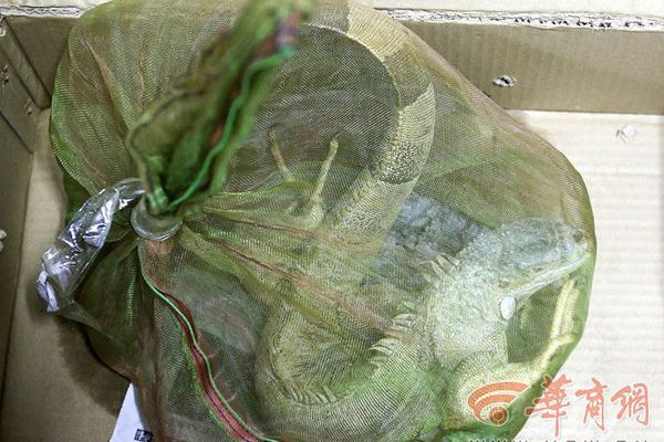 韦德詹姆斯十佳球-乐鱼app(leyu)官方网站-乐鱼官网