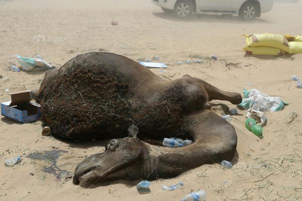 欧洲冠军杯赛程表-乐鱼app(leyu)官方网站-乐鱼官网