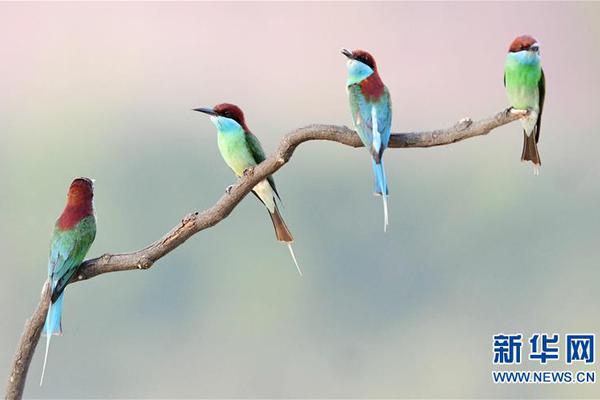 06世界杯排名-乐鱼app(leyu)官方网站-乐鱼官网