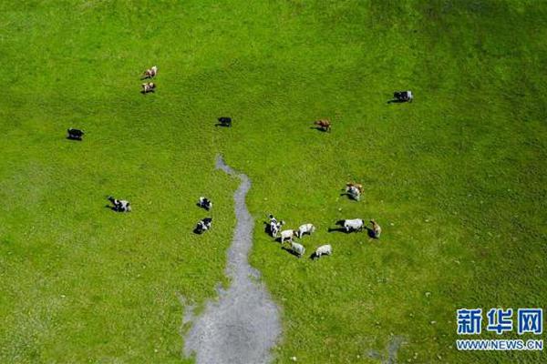 瓜迪奥拉和穆里尼奥