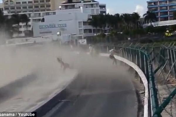 飞鞋事件-乐鱼app(leyu)官方网站-乐鱼官网