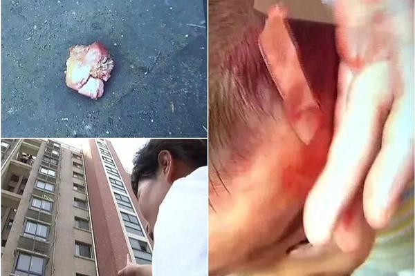 wevs皇族直播-乐鱼app(leyu)官方网站-乐鱼官网