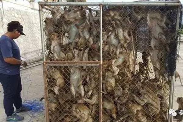 他信曼城-乐鱼app(leyu)官方网站-乐鱼官网