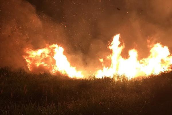 中国 马来西亚 直播-乐鱼app(leyu)官方网站-乐鱼官网