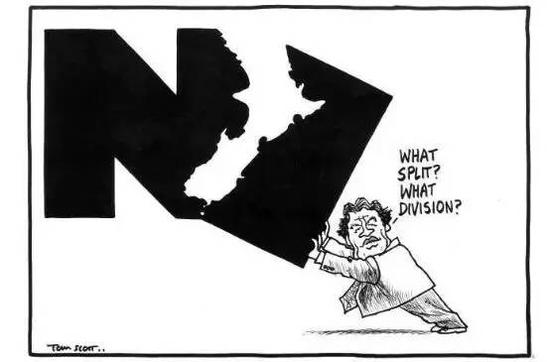 新西兰媒体刊登的这幅漫画中，彼得斯领导的优先党被视为给该国带来分裂和隔阂。