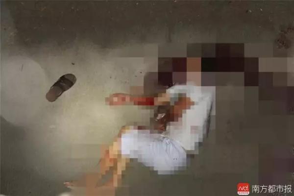 卡西族-乐鱼app(leyu)官方网站-乐鱼官网