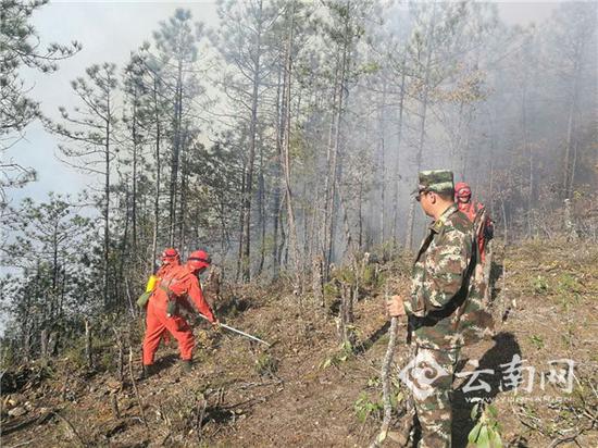 陈群到一线火场进行视察