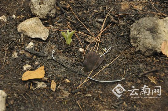 陈群遗留在事发地的眼镜