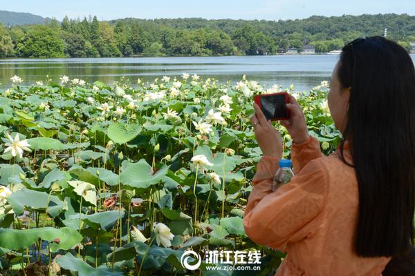 2012法国队名单-乐鱼app(leyu)官方网站-乐鱼官网