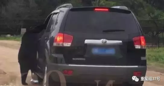 ▲马来熊扒住窗口不放,甚至一度有向里攀爬的意思。 视频截图