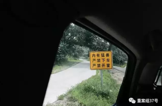 ▲2017年7月17日,一年前事发的西南虎园内立着“内有猛兽,严禁下车,严禁开窗”的警示牌。 新京报记者 朱骏 摄