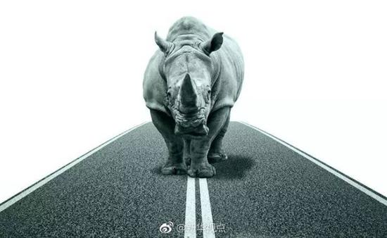 我国将以不同思路应对黑天鹅与灰犀牛